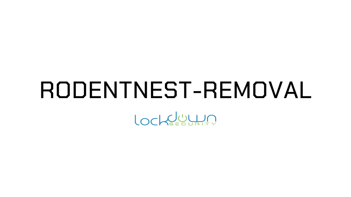 Rodent nest removal from a vehicle's engine bay at Lockdown Security, Markham