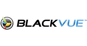 Colorful circular emblem next to stylized blue and gray text logo representing connected car technology brand.