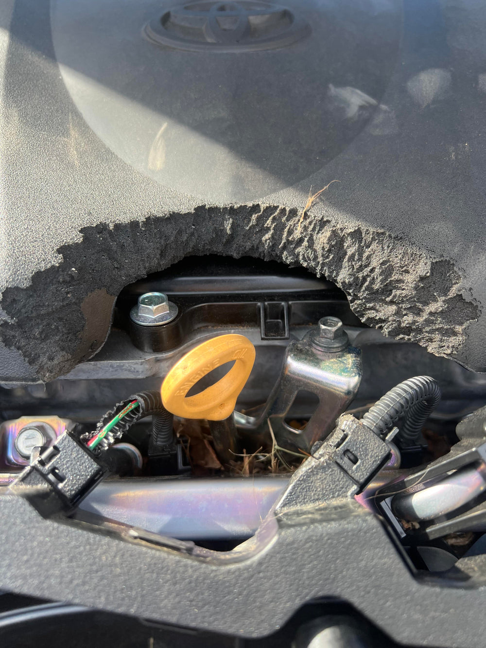 A harness chewed through its conduit to the wires.