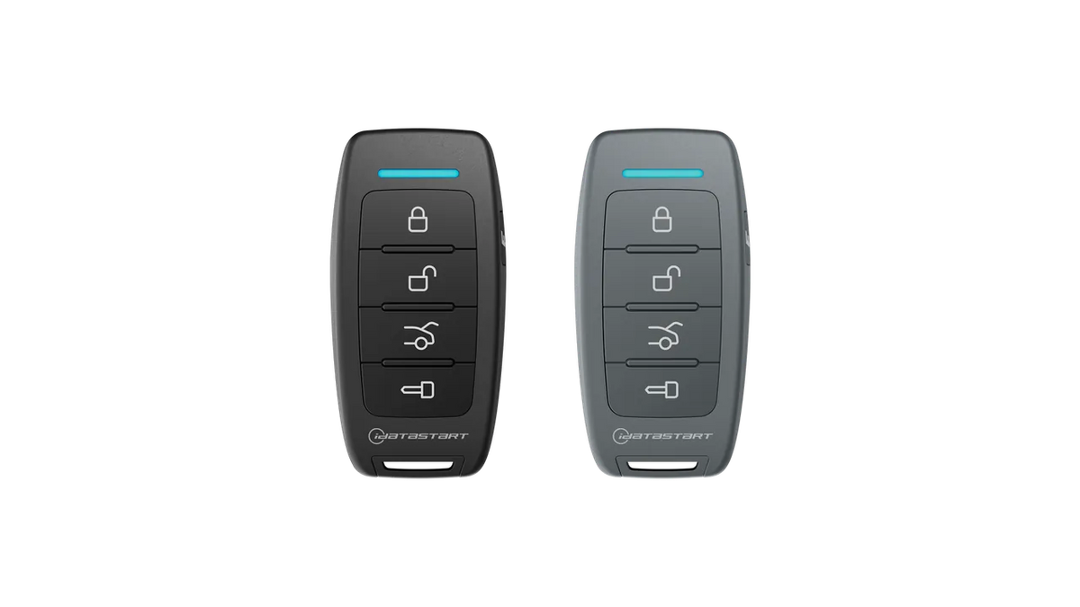 iDatastart R220 and R220G remotes in black and grey cases