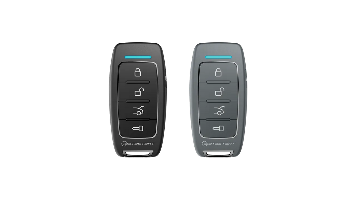 iDatastart R225 and R225G remotes in black and grey cases