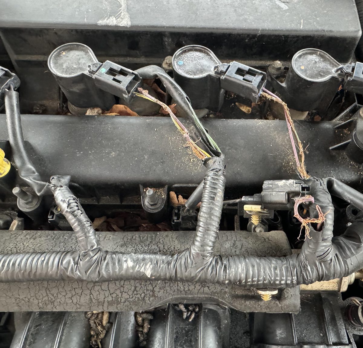 Stop mice chewing your wiring